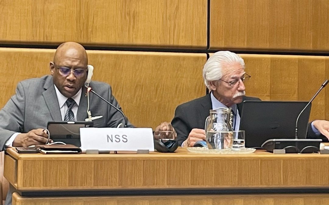 Karlton Johnson and Alfred Anzaldua give NSS presentation at the UN