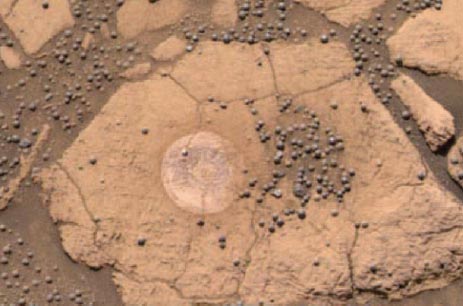 mars rover mission Martian "blueberries"