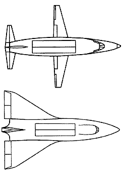 Orbiter wing types